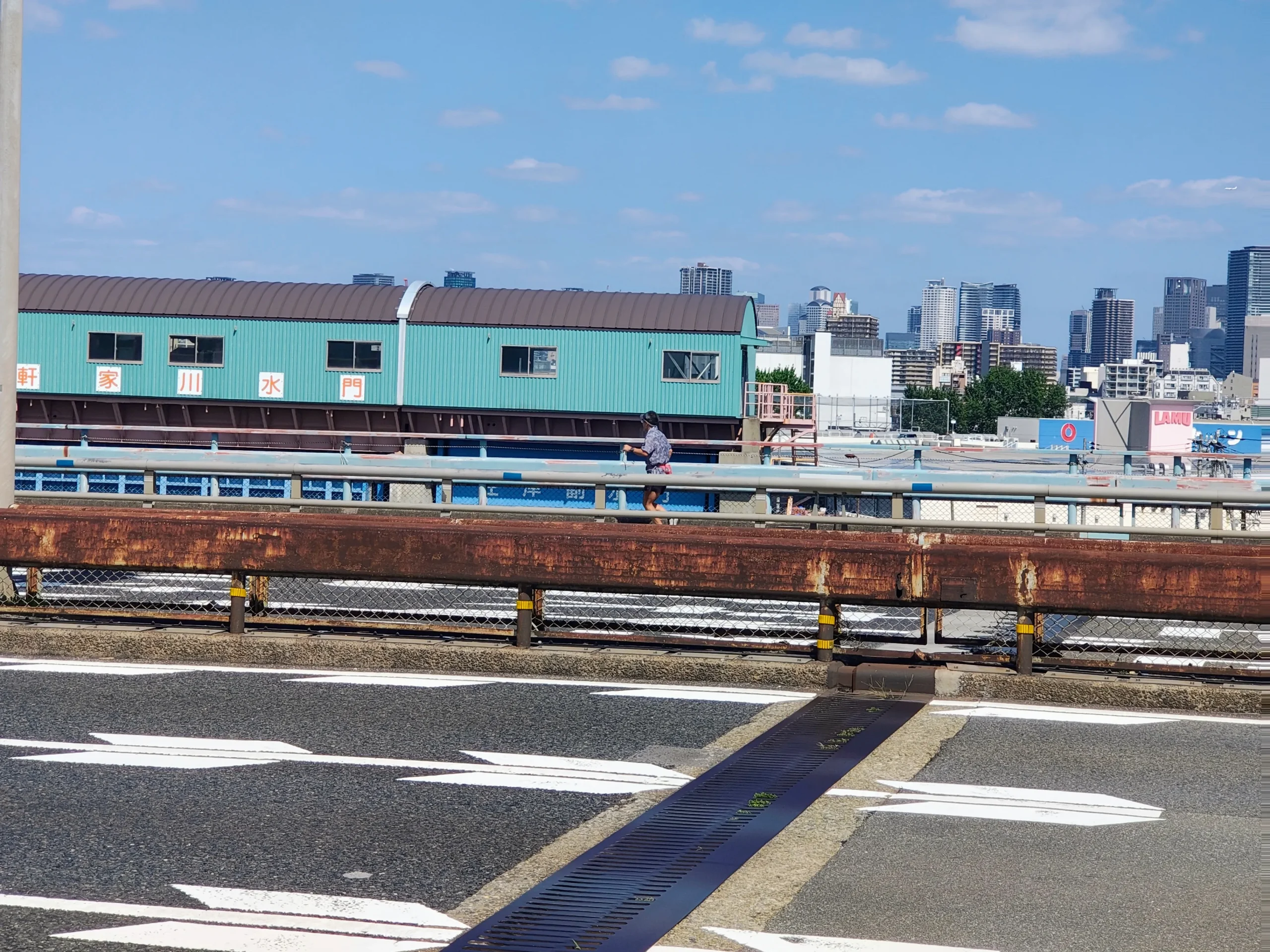 安治川大橋の8車線を隔てて鈴木さんとすれ違った。声をかけたが届かない。